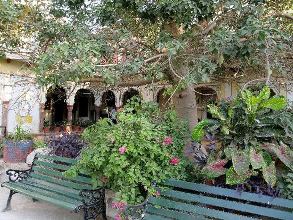 Bassi Fort Palace Chittorgarh Exteriör bild